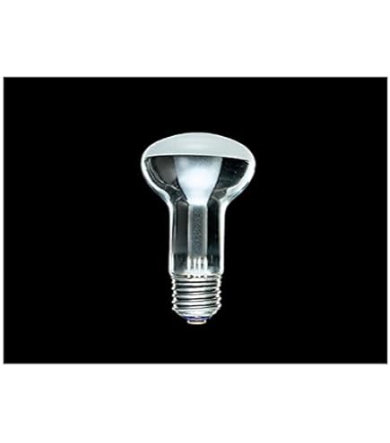 東芝レフランプ100W 10個入り 品番:RF110V95WM 商品詳細：RF110V95W M | 商品情報検索（商品データベース